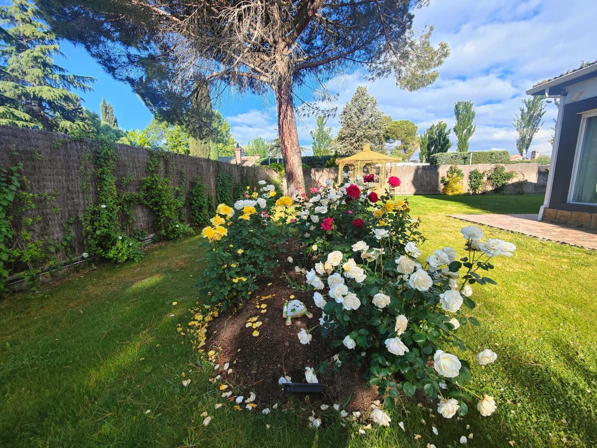 Chalet Con Piscina Y Jacuzzi En Madrid Alquila Habitaciones Algete Dış mekan fotoğraf